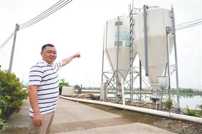鱼跃.jpg